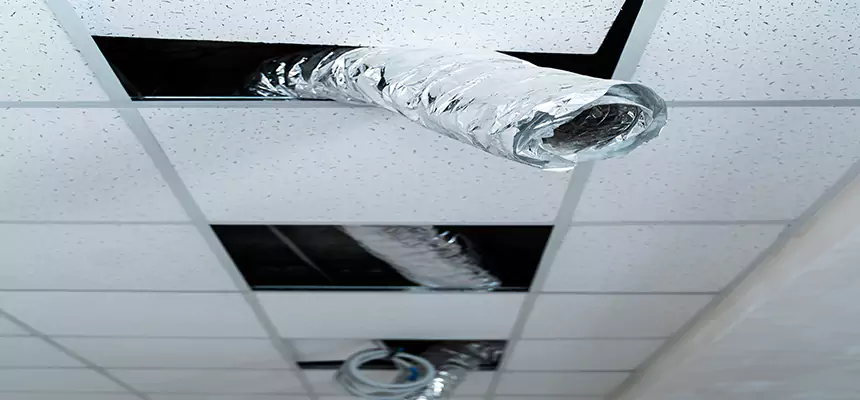 Our Air Duct Pet Hair Removal Services in Elmwood Park, NJ