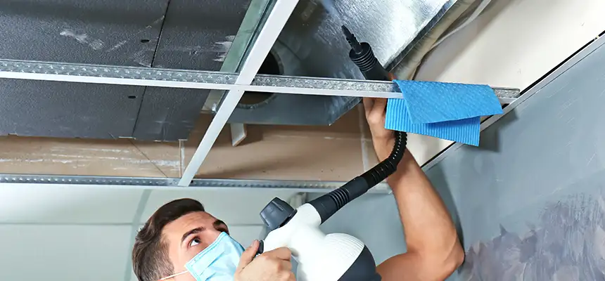 Our Air Duct Rodent Removal Services in Elmwood Park, NJ