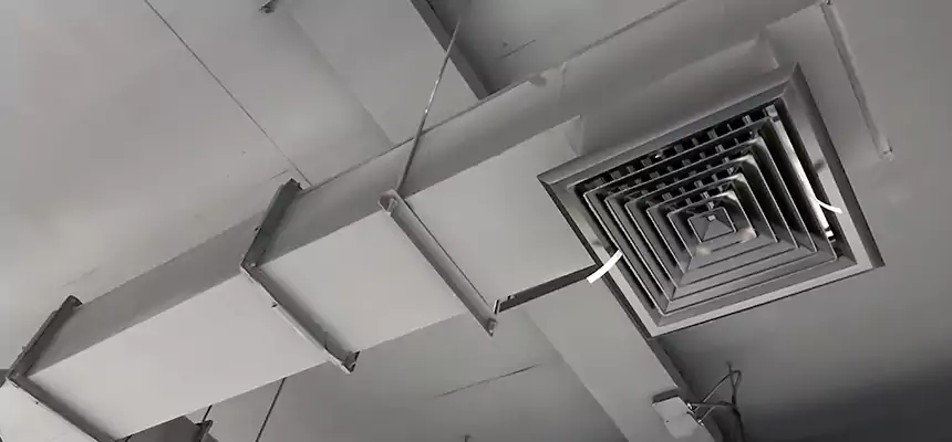 Our Rodent Droppings In Vents Services in Elmwood Park, NJ