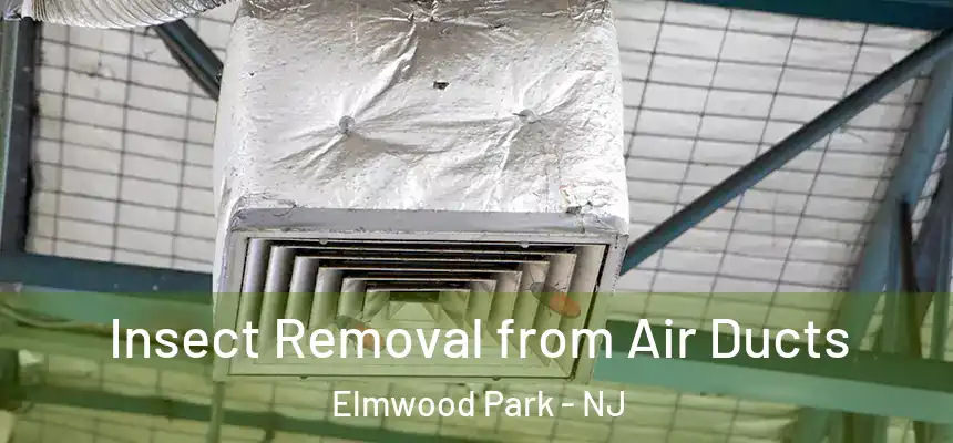  Insect Removal from Air Ducts Elmwood Park - NJ