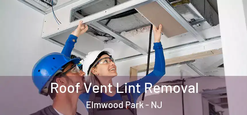  Roof Vent Lint Removal Elmwood Park - NJ