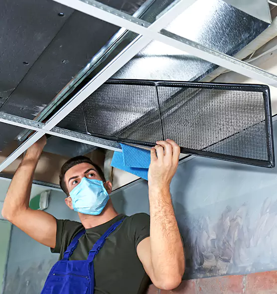 About Air Duct Bacteria Removal in Elmwood Park