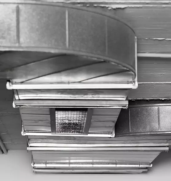 Professional Air Duct Pest Removal in Elmwood Park, NJ