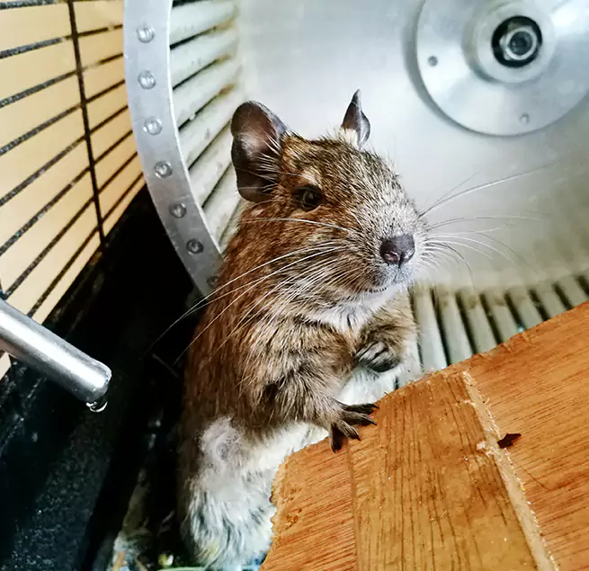 Why Homeowners & Businesses Trust Us Elmwood Park, NJ