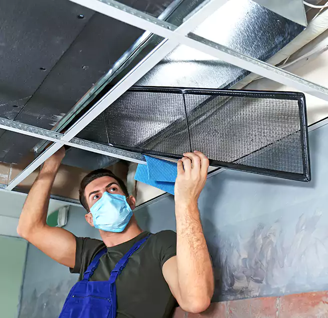 Why Homeowners Businesses Trust Us in Elmwood Park, NJ